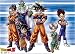 Dragon Ball Z: Warriors of Z Wall Scroll