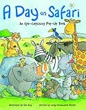 A day on safari : an eye-catching pop-up book