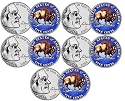 Set of 5 Colorized 2005 Jefferson Buffalo Nickels