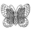 Sterling Silver Butterfly Pin