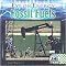 Fossil Fuels (Eye on Energy) (Reinforced Hardcover)