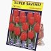 TotalGreen 72415200 Tulip Bulbs