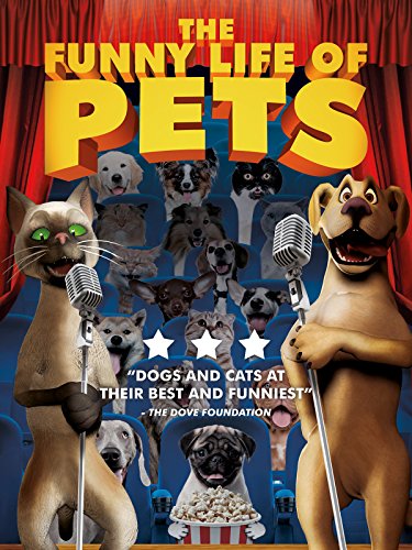 The Funny Life Of Pets