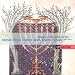 Music From Christian & Jewish Spain
