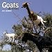 Goats in Trees 2010 Square Wall (Wall Calendar) (Multilingual Edition)