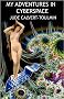 My Adventures in Cyberspace: Book I