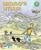 Dringo'r Wyddfa ; Yr Wyddfa
