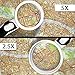 Deluxe Magnifying Glass with Light - exceeding 10x (16x), 5x & 2.5x with FREE Pocket Magnifying Glass and 3 x Fresnel Lens for Wallet