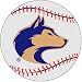 Fanmats Washington Huskies Baseball-Shaped Mat