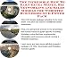The Incredible How To Earn Extra Money, Biz Networking And Sales Models For Websites Businesses 3 Cd Power Pack