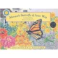 Monarch Butterfly at Aster Way (Mixed media product)