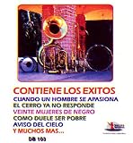 Varios Artistas (20 Exitos Con Las Mejores Bandas)