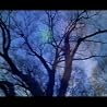 Old Crow Medicine Show - Caroline