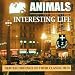 Interesting Life Interesting Life