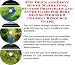 The Down and Dirty Super Marketing, Success Principles and Inner Game for Baby Slings Web Biz 3 Course + Resource Guide