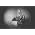Vignette de Patrick Watson