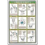 61pJtiDa5kL. SL160  Fitnus Shoulder Workout Instruction Card Reviews