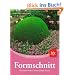 Formschnitt: Die besten Arten und die richtige Technik