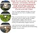 Book The Fantastic Make An Extra Income, Inner Game and eCommerce for Snowboarding Goggles On-line Biz Package (3 CDs)