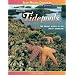 The Secrets of Tidepools: The Bright World of the Rocky Shoreline (Jean-Michel Cousteau Presents)