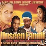 Vol. 1-Unseen Family Compilation