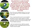 Massive Cash Flow Pack with Super Marketing, Success Principles and Inner Game for Cell Phone Holders Web Biz 3 Course + Resource Guide