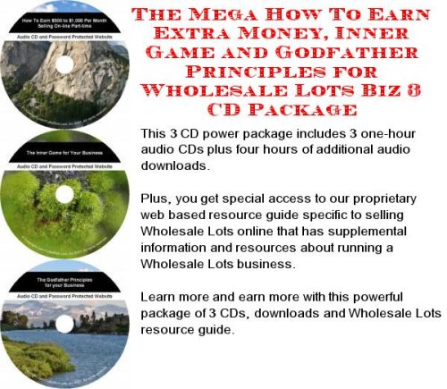 The Mega How To Earn Extra Money, Inner Game and Godfather Principles for Wholesale Lots Biz 3 CD Package
