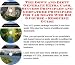 The Quick and Easy How To Earn Extra Money, Marketing and Success Principles for Car Seats Internet Businesses 3 CD Power Pack