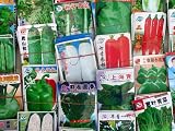 Asian Seeds from Ocean International