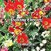The Dancing Flowers