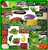 Survival Vegetable Seeds Non Hybrid 47 Variety Heirloom