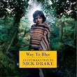 Way To Blue - An Introduction To Nick Drake (Remastered)