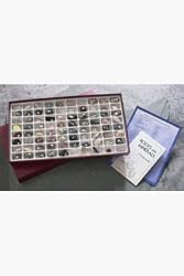 Earth Science Collection, Introductory