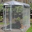 Champion Box Kennel and Cover - 10'