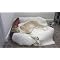 Surviving a malamute