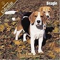 Beagle 2008 Wall Calendar