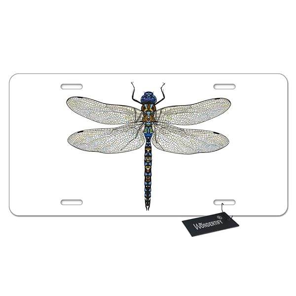 Wondertify Dragonfly License Plate Blue Dragonfly With Transparent