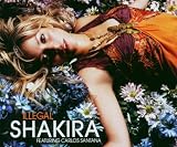Illegal, Pt. 2