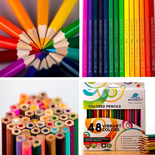 Best Colored Pencils For Art Students
