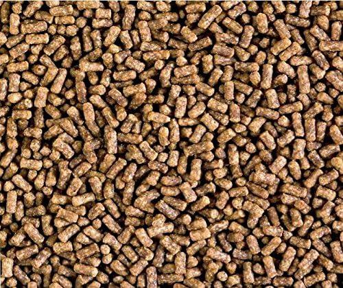 Cod Supreme - Skin Salmon Roll Snacks for Dogs and Cats, a Circular Coil (150 G).