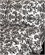 Wallflower-Standard Sham