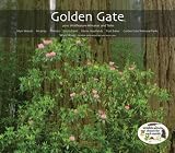 Golden Gate - Muir Woods 2010 Wall Calendar