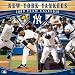 New York Yankees 2009 12 x 12 Team Wall Calendar