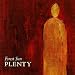 Forest Of Souls-Plenty