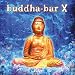 Music : Buddha Bar, Vol. 10
