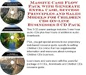 Massive Cash Flow Pack with Generate Extra Cash, Success Principles and Sales Models for Children CDs On-line Businesses 3 CD Pack