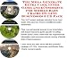 Search : The Mega Generate Extra Cash, Inner Game and eCommerce for Mobile Baby Chairs On-line Businesses 3 CD Pack