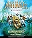 Wild Born (Spirit Animals, Book 1) (1)