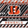 Cincinnati Bengals NFL Book Cover