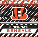 Cincinnati Bengals NFL Book Cover